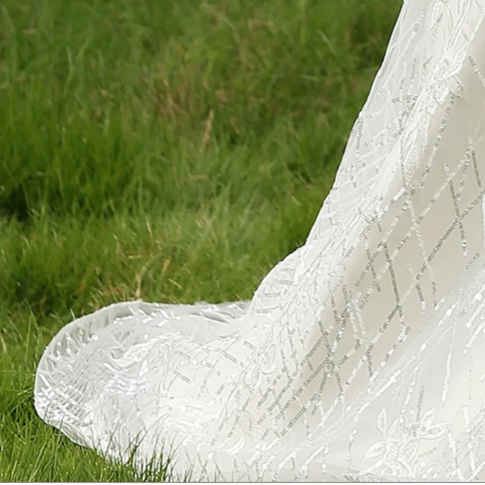 Glittery Fitted Wedding Dress With Deep V Neckline